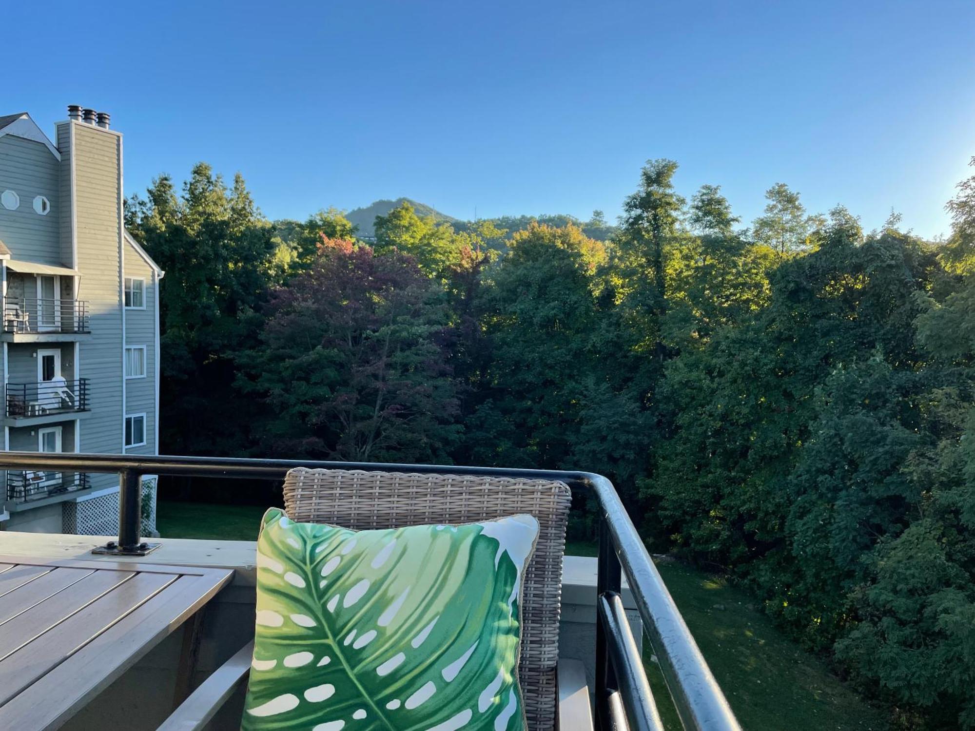 Gatlinburg Summit Getaway For 2 With Amazing View! Leilighet Eksteriør bilde